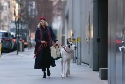 A very good boy can’t save ‘The Friend’ from disaster
